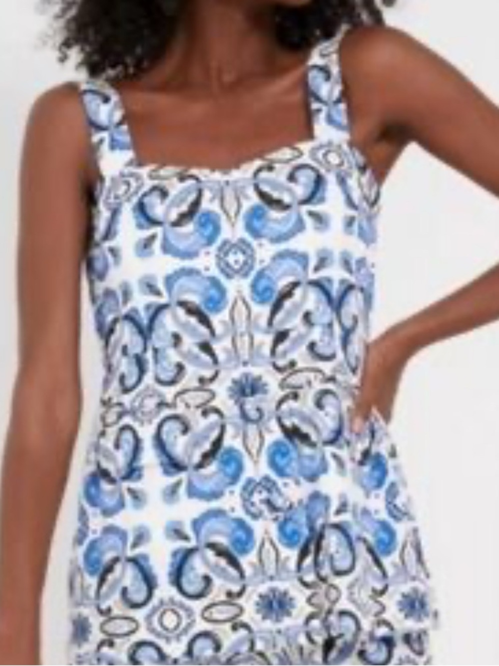 Tuckernuck Blue and White Printed Sleeveless Sheath Top